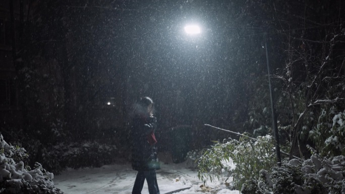 下雪一个人走路 下雪夜晚 路灯飞雪 雪夜