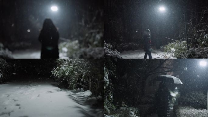 下雪一个人走路 下雪夜晚 路灯飞雪 雪夜