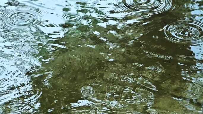 夏季雨水雨滴滴落在水面上的涟漪