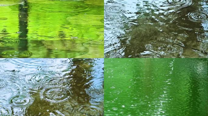 夏季雨水雨滴滴落在水面上的涟漪