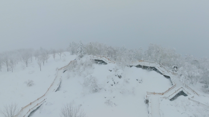 唯美冬天雪景树林雾凇