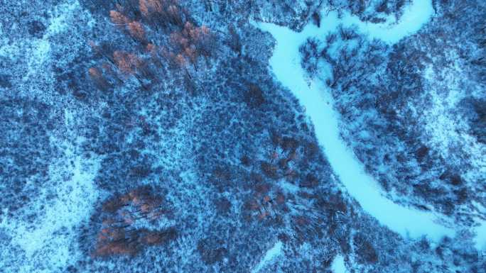 俯拍湿地冬季荒野丛林雪景光影
