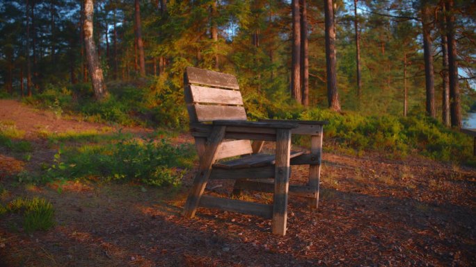 北欧森林里的一把木椅