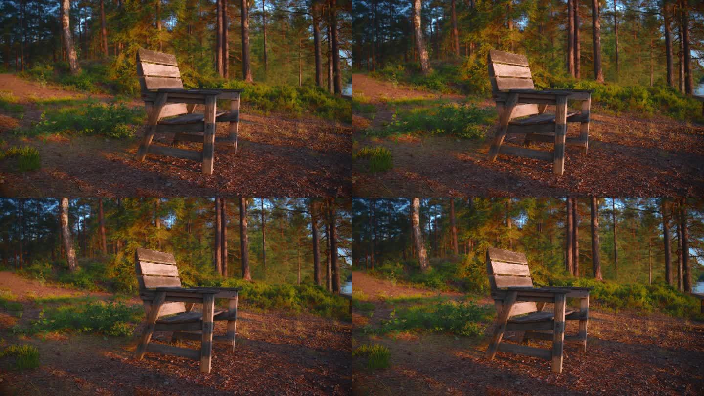 北欧森林里的一把木椅