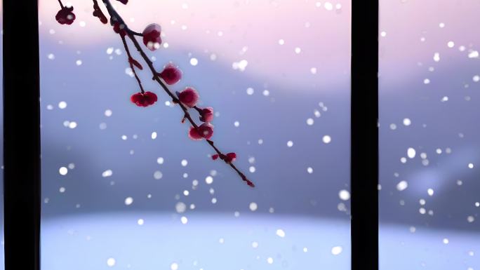 雪景 下雪 暴雪 空镜 雪中梅花盛开桃花