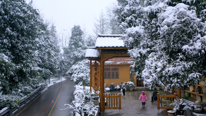 雪中梅花 下雪 雪景 雪中徒步行走