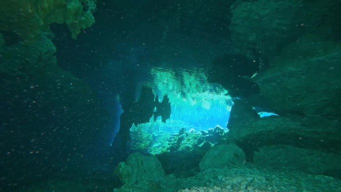 在尤卡坦墨西哥天然井的水下洞穴潜水。潜水员在干净清澈的地下水中潜水