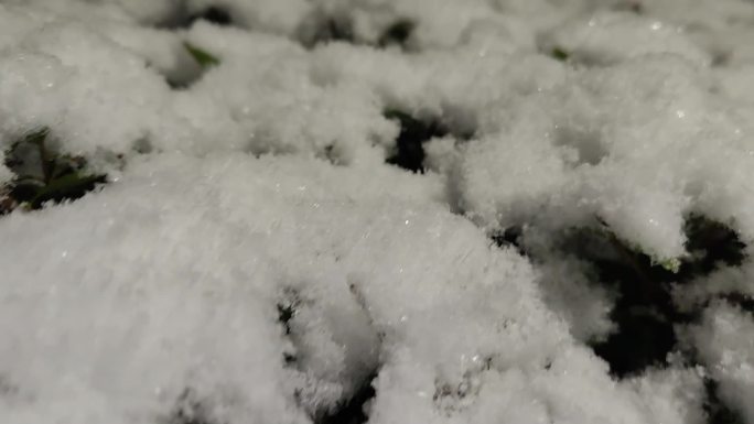 雪夜 夜里南方的雪景