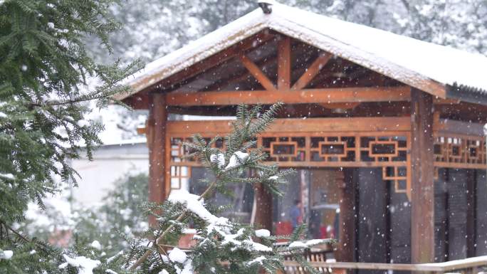 冬天雪景下雪亭子山林