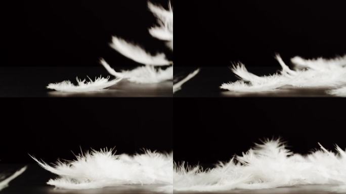 白色的羽毛纹理，柔软的羽毛落在黑色背景上，特写旋转。柔软和皮毛的概念。