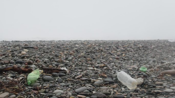 海滩上的塑料瓶等垃圾在雾、湿、雪、雨天气。塑料污染、垃圾和生态问题的危机观念。