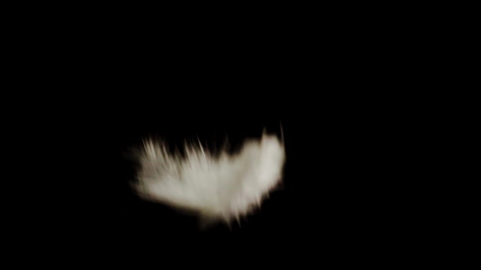 白色的羽毛纹理，柔软的羽毛落在黑色背景上，特写旋转。柔软和皮毛的概念。