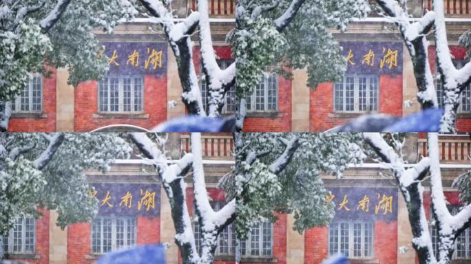 4k长沙大雪湖南大学下雪升格慢镜头