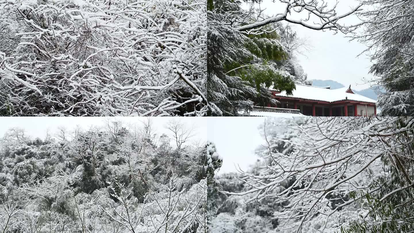 冬天下雪家乡雪景生态家园翠竹白雪4K原创