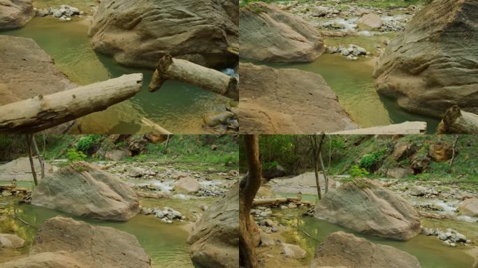 一条清澈流动的河流，周围环绕着许多巨石和枯树，镜头向上平移，揭示了下游的情况