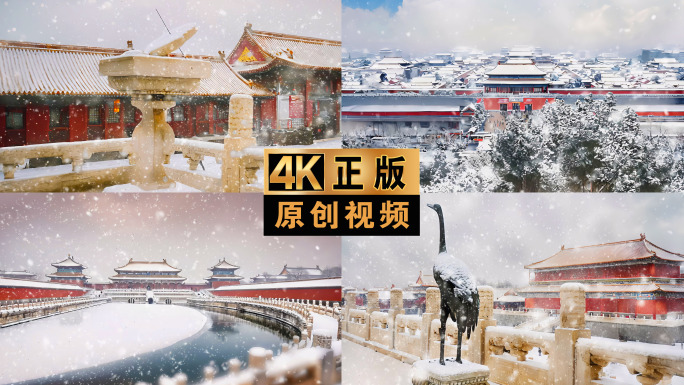 雪景下雪大雪故宫风景雪景