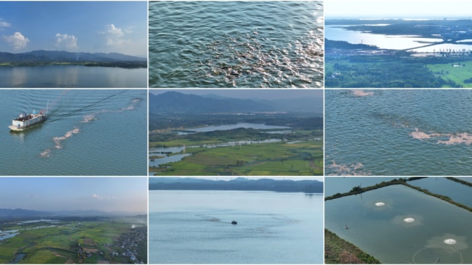 航拍渔业牧场生态养殖