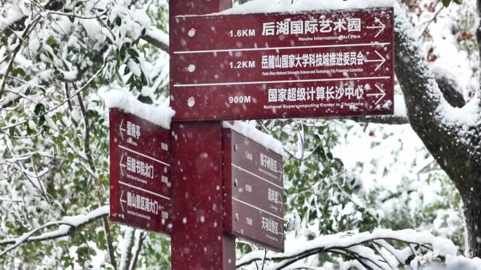 4k长沙大雪湖南大学下雪升格慢镜头