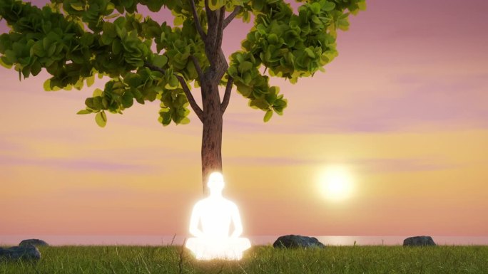 冥想的人在瑜伽莲花位冥想孤独的树在日落的海边。正念和自我意识练习。发光的灵魂。风景优美山水。4K动画