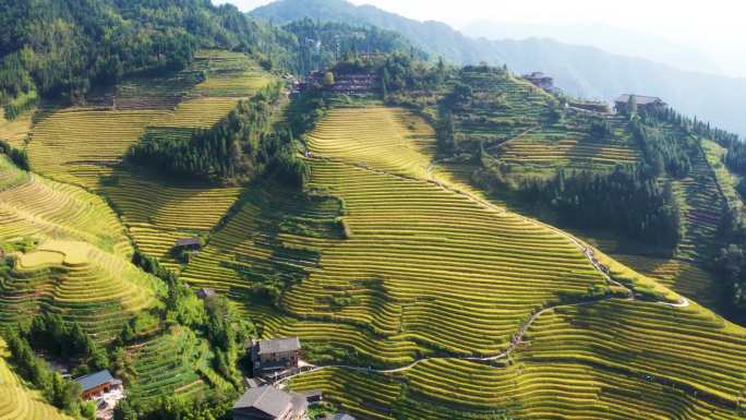 广西桂林龙胜梯田平安寨航拍大景