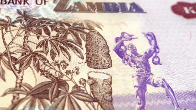赞比亚克瓦查5张钞票，赞比亚克瓦查5张钞票，赞比亚克瓦查的特写和宏观视图，跟踪和多莉拍摄5赞比亚克瓦