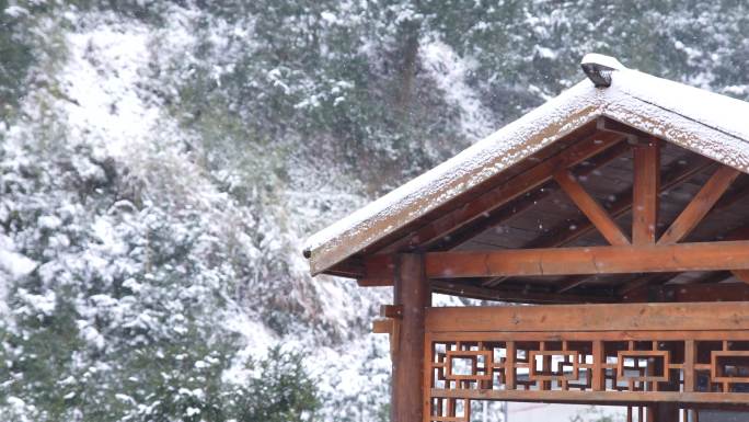 冬天下雪亭子雪景