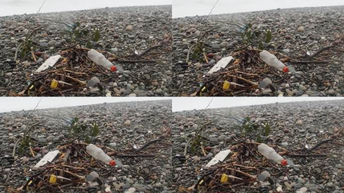海滩上的塑料瓶等垃圾在雾、湿、雪、雨天气。塑料污染、垃圾和生态问题的危机观念。