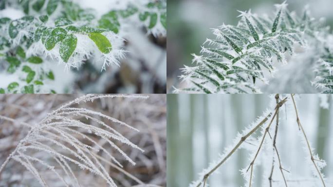 雾凇雪景静物空镜素材