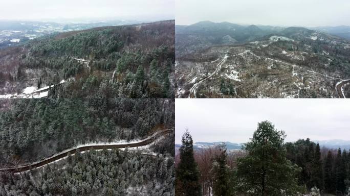 贵阳云雾山雪景