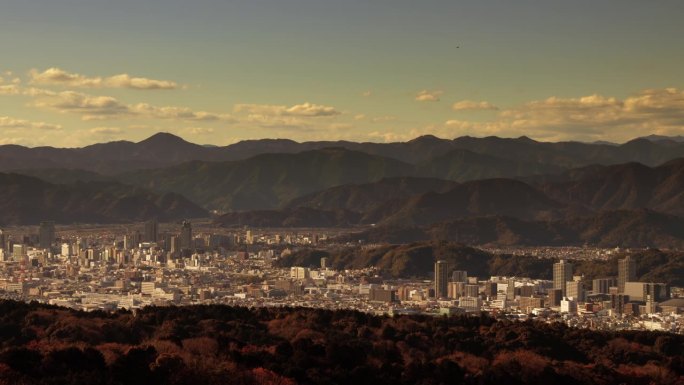 从山顶看静冈市的市容