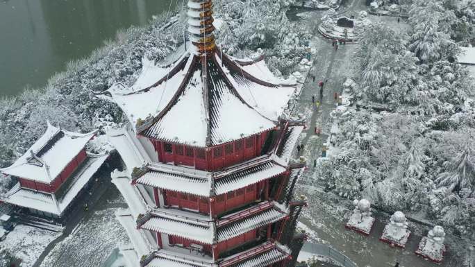 湖南怀化大雪市民在鹤鸣洲赏雪玩雪景象