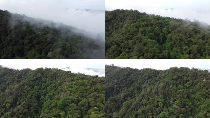 航拍照片，无人机飞过美丽的绿色山脉，进入云雾缭绕的一侧，哥伦比亚的康迪玛卡地区。阴天4K