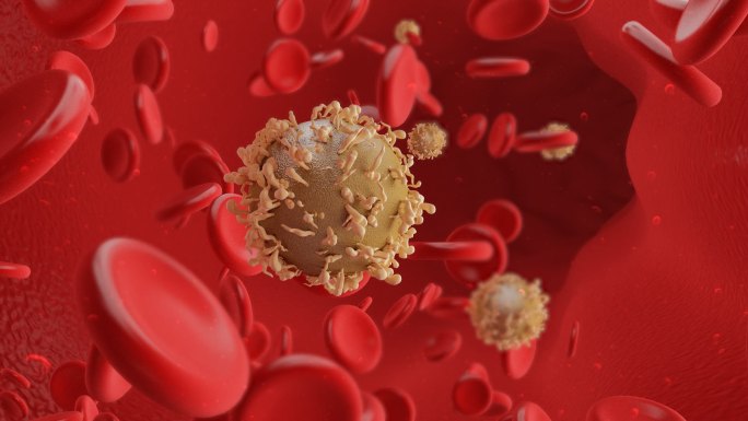淋巴细胞 T细胞 巨噬细胞 癌细胞