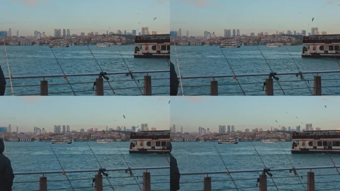 在土耳其伊斯坦布尔，蓝天衬托下的大桥上，鸟群飞过海上的渡轮
