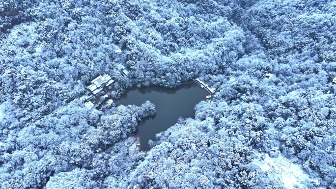 青城山雪