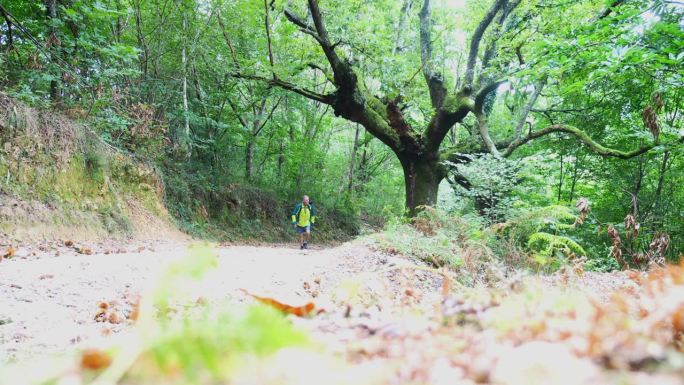 一个成熟的男人在法国巴斯克地区的山区徒步旅行