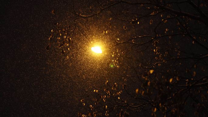 夜晚城市路边下雪