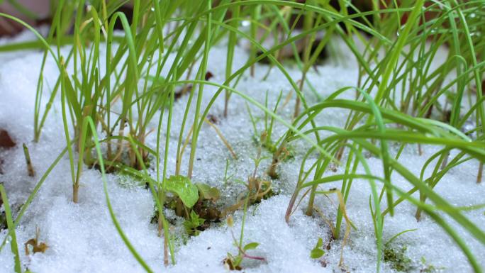 延时冰雪融化