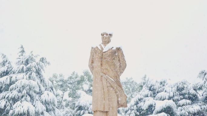 4k长沙大雪湖南大学下雪升格慢镜头