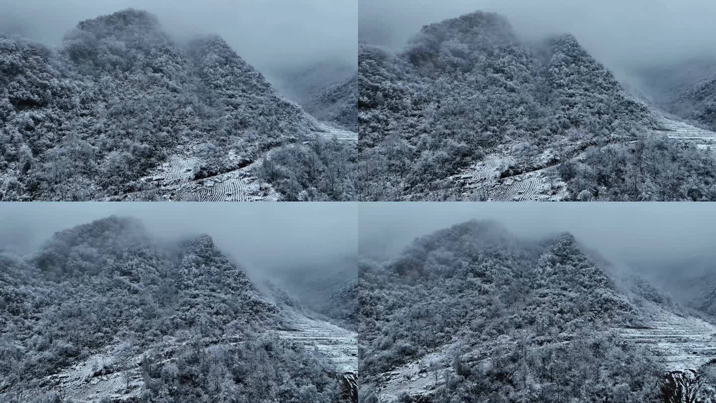 陕西汉中龙头山雪景-2