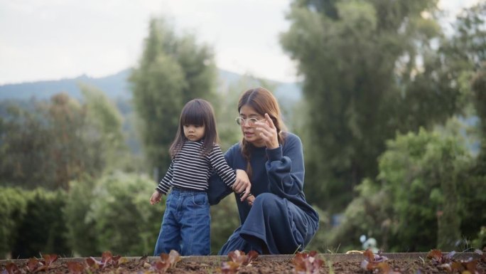 快乐的亚洲家庭在户外活动时探索有机农场的绿色橡树。