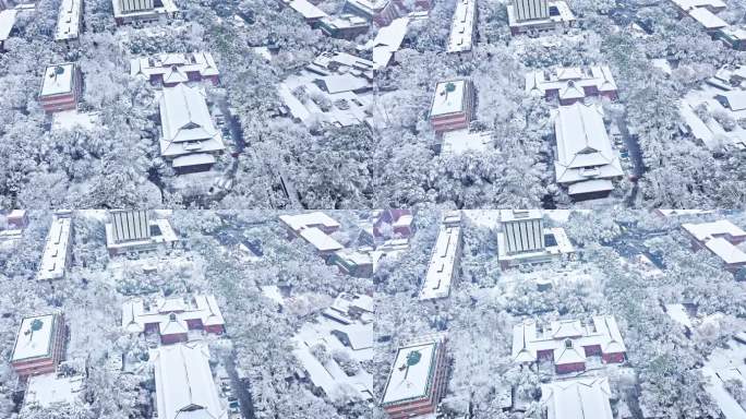 4k长沙岳麓书院雪景航拍