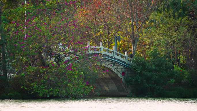 惠州西湖拱桥视频1