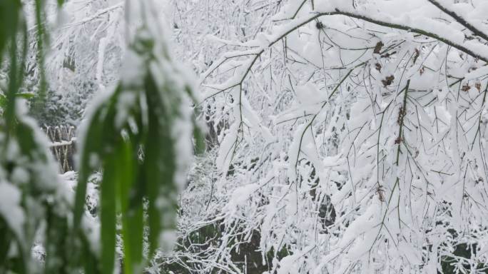 湖南长沙岳麓山爱晚亭雪景实拍