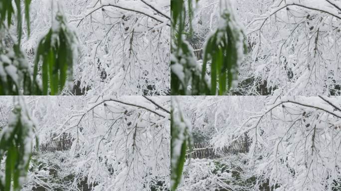 湖南长沙岳麓山爱晚亭雪景实拍