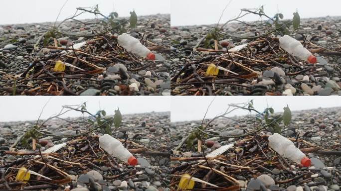 海滩上的塑料瓶等垃圾在雾、湿、雪、雨天气。塑料污染、垃圾和生态问题的危机观念。