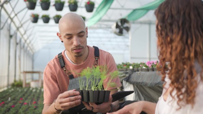 园丁在温室向顾客讲解植物护理