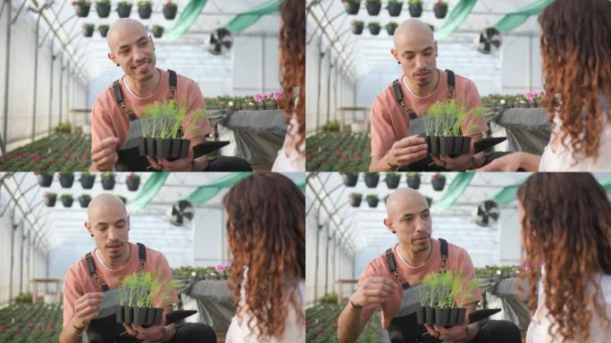 园丁在温室向顾客讲解植物护理