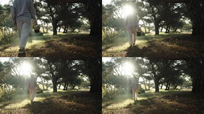 穿白衣的年轻女子提着一篮子复活节彩蛋漫步穿过森林。早晨的阳光穿过树梢。