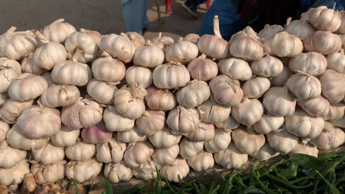 特写:当地农贸市场出售的整头大蒜。一束新鲜的白蒜。白色蒜头展示图。新鲜大蒜是一种健康蔬菜。